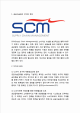 [SCM 도입사례] SCM 공급사슬관리 개념과 필요성연구및 SCM 기업 도입사례분석과 느낀점   (3 )
